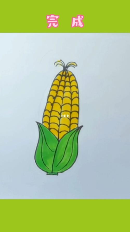 玉米简笔画彩色