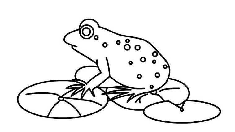 青蛙的简笔画图片
