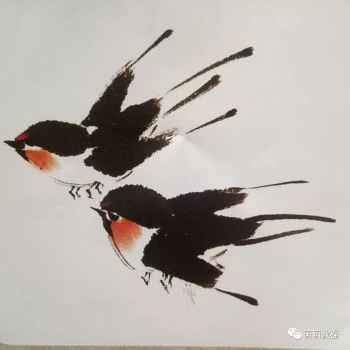 国画小鸟的画法 国画鸟的画法