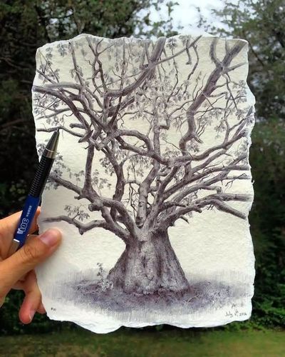 树的素描画 树的素描画法步骤图