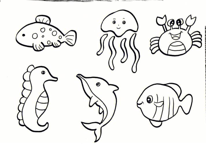 海洋生物简笔画 海洋生物简笔画图片大全彩色