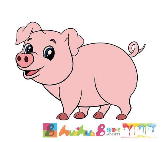 猪简笔画彩色