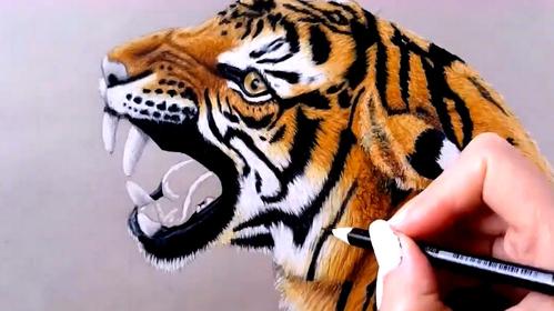 画老虎的画 画老虎的画家