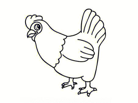 鸡的简笔画的画法 鸡的简笔画的画法带颜色