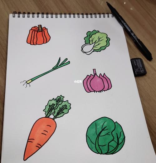 青菜简笔画怎么画 画蔬菜简笔画图片大全