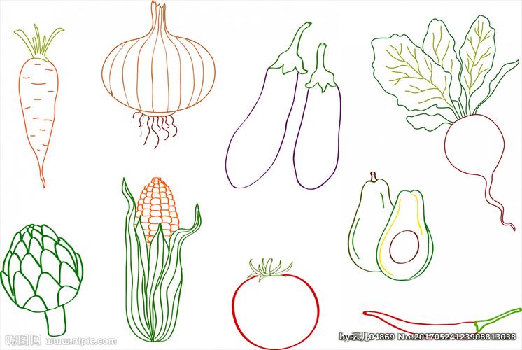 蔬菜的简笔画图片大全 画蔬菜简笔画图片大全