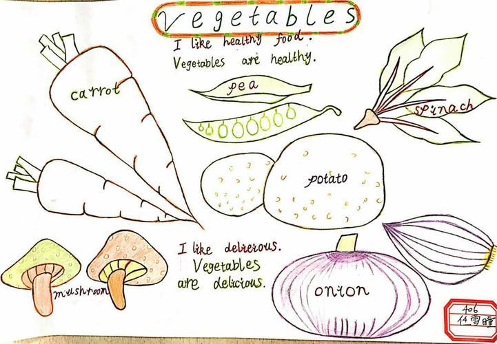 关于蔬菜的英语手抄报