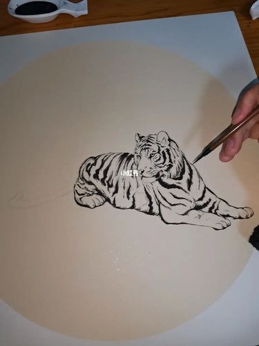 老虎绘画教程 老虎绘画教程步骤