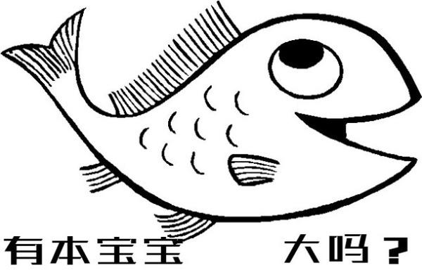 大鱼的简笔画 大鱼的简笔画图片