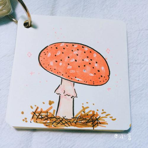 蘑菇简笔画彩色