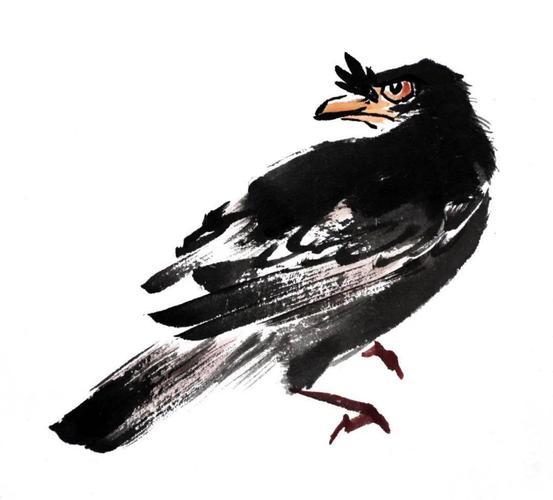 国画鸟的画法 国画鸟的画法教学视频