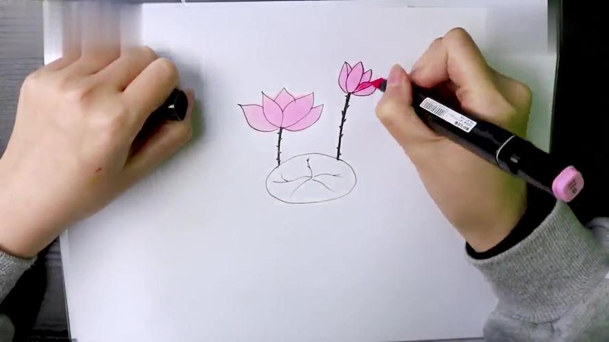 画荷花最简单的画法 画荷花最简单的画法的视频
