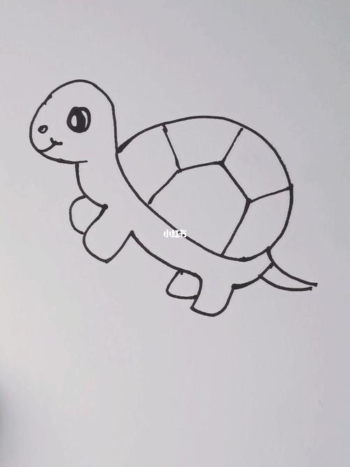 简笔画小乌龟的画法