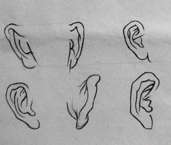 耳朵的简笔画 耳朵的简笔画简单又好看