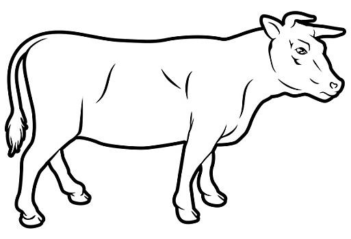 母牛简笔画
