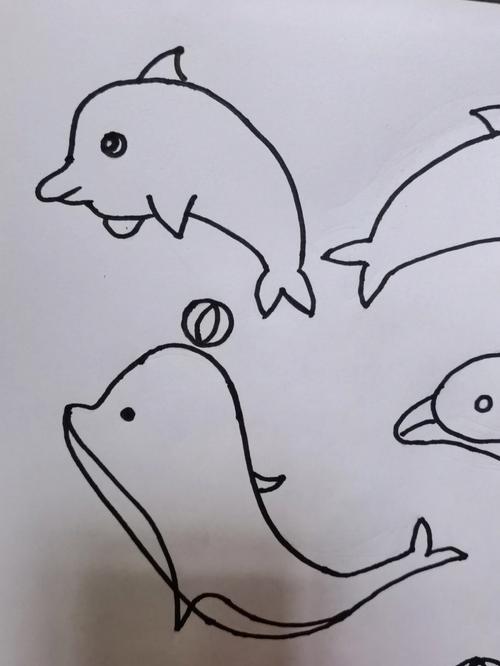 画海豚的简笔画图片