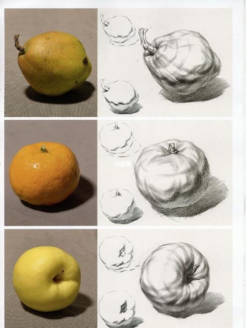 水果分解图设计素描图片