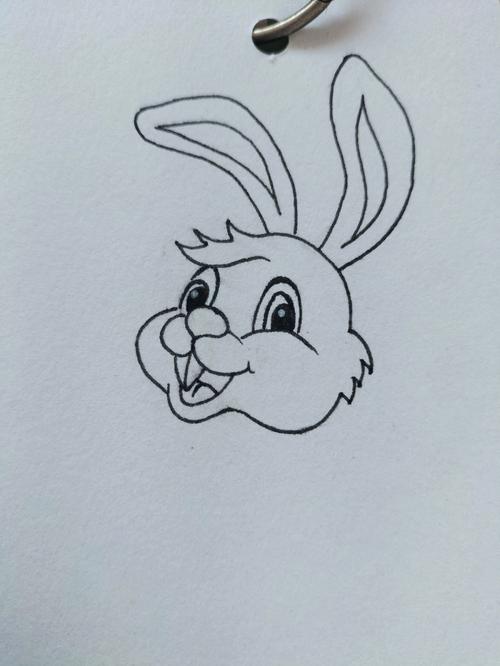 画兔子简笔画