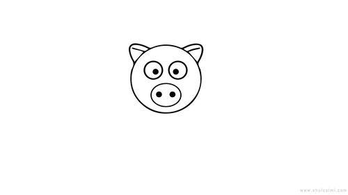 猪的画法简笔画