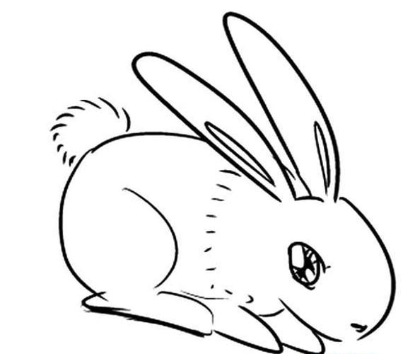 q版兔子简笔画