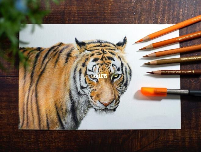 老虎图片绘画 老虎图片绘画儿童画