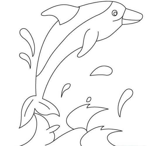 海豚的画法简笔画