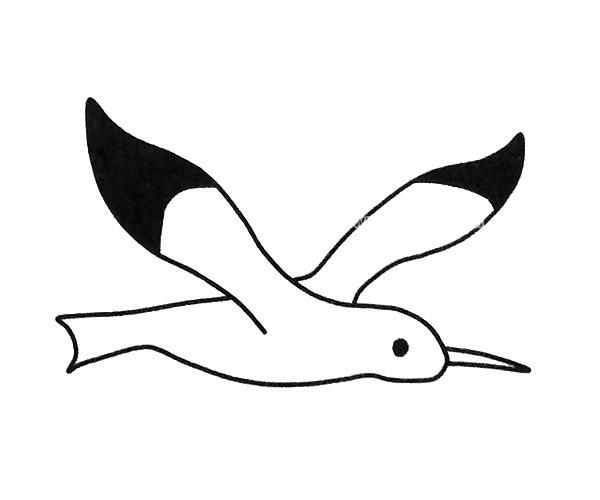 海鸥的画法简笔画图片