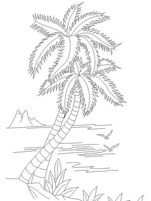 海边椰子树风景简笔画 海边椰子树风景简笔画图片