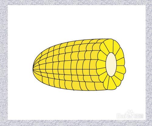 玉米简笔画图片带颜色 玉米简笔画图片带颜色画法