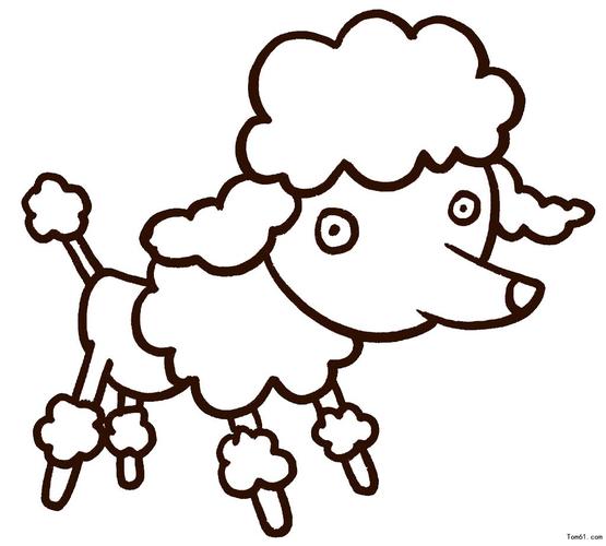 小羊简笔画 戴口罩图片
