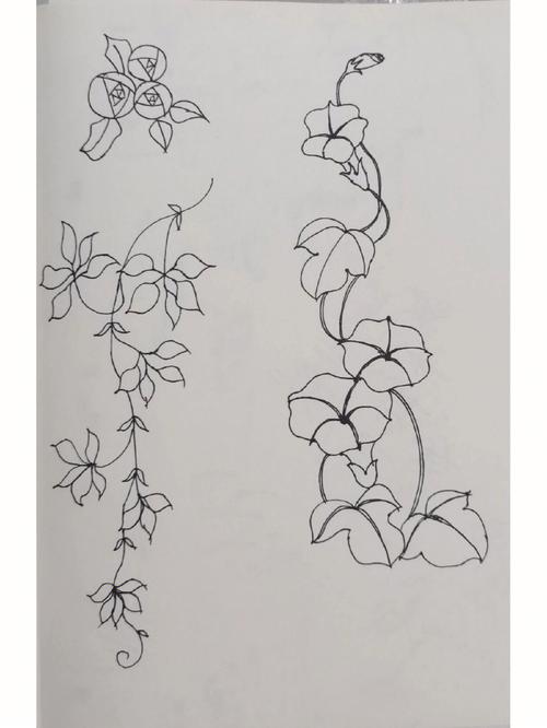100种可爱植物简笔画 100种可爱植物简笔画儿童简笔画