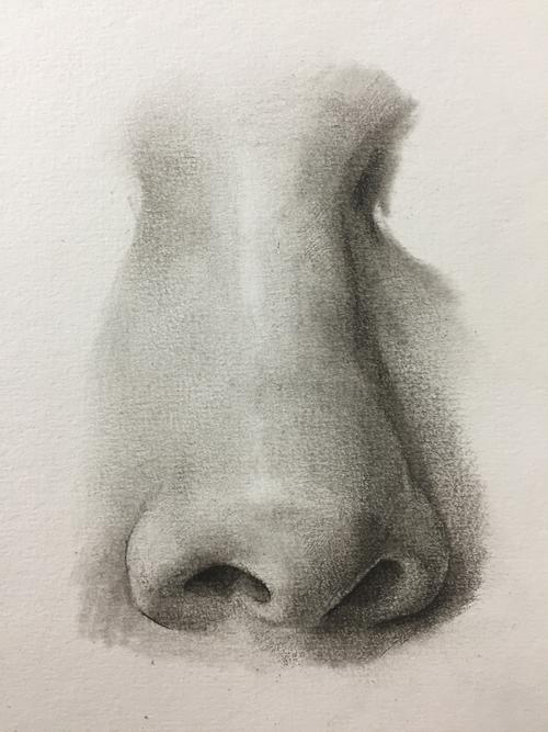 素描鼻子的画法步骤图素描人物鼻子画法步骤