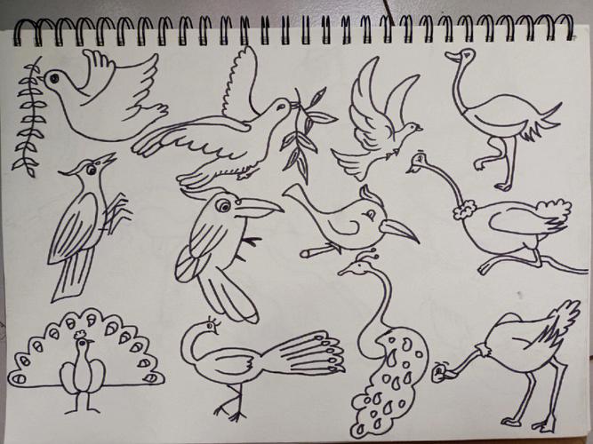 简笔画鸟怎么画 简笔画鸟怎么画简单