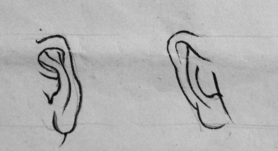 简笔画耳朵 简笔画耳朵的画法