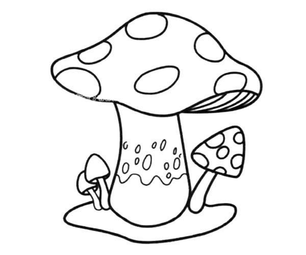 小蘑菇简笔画 小蘑菇简笔画图片大全