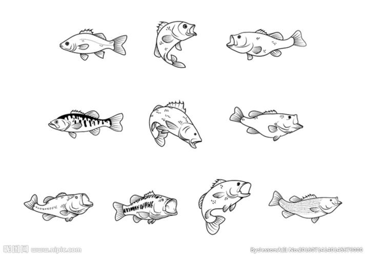 鱼菜图片 简笔画图片