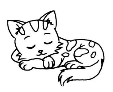 小花猫在睡觉简笔画