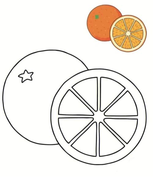 幼儿园水果简笔画 幼儿园水果简笔画简单