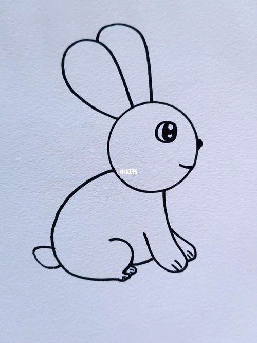 简笔画小白兔的画法最简单 小白兔拔萝卜
