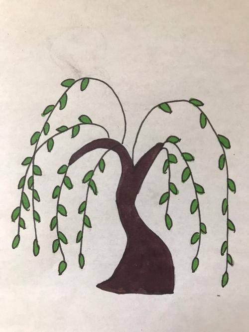 简笔画柳树的简单画法