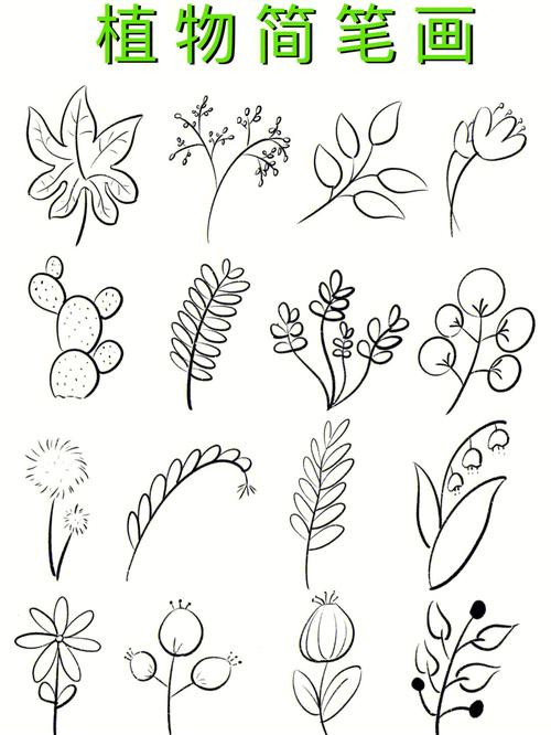植物简笔画大全图片简单又好看 植物简笔画大全图片简单又好看叫什么名字