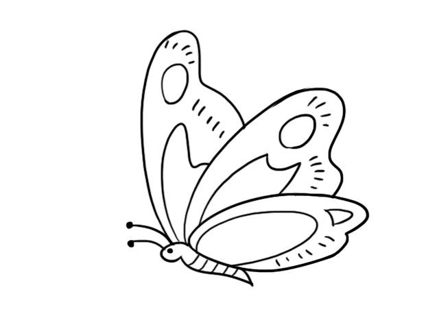 飞舞的蝴蝶简笔画
