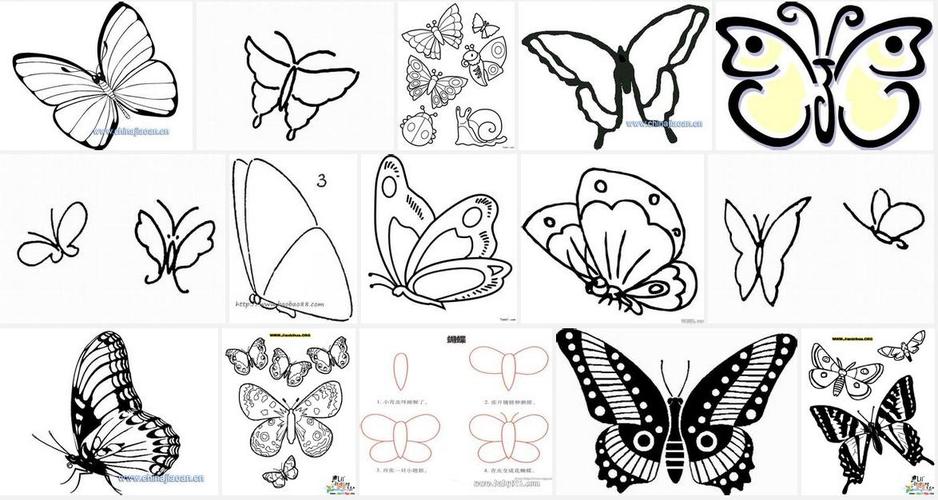 蝴蝶是怎么画的 画蝴蝶教程