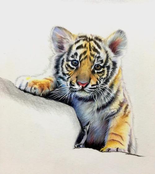 如何画小老虎 如何画小老虎怎么画又可爱又简单