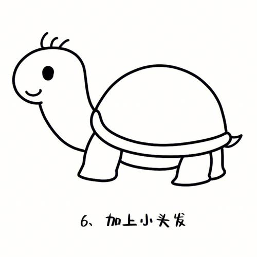 小乌龟简笔画彩色 小乌龟简笔画彩色涂色