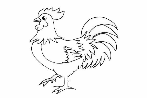 简笔画公鸡 简笔画母鸡的画法最简单