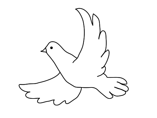 和平鸽简笔画简单又漂亮