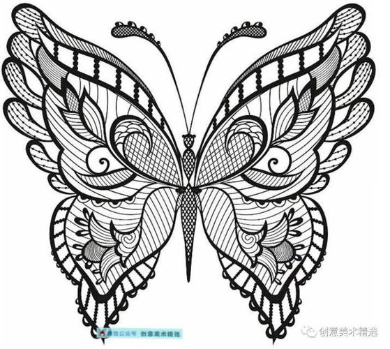 蝴蝶的画法半边图片
