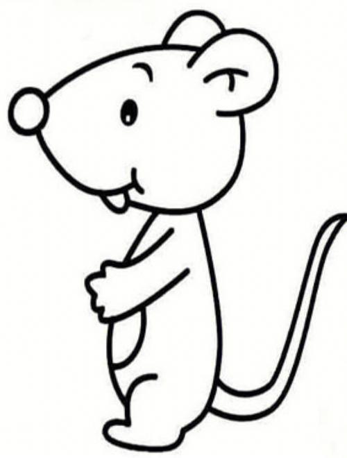 老鼠简笔画图片 怎么画老鼠简笔画图片