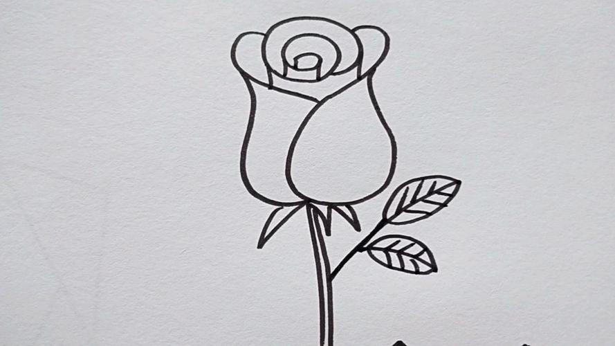 简单的玫瑰花怎么画 一步一步学画玫瑰花